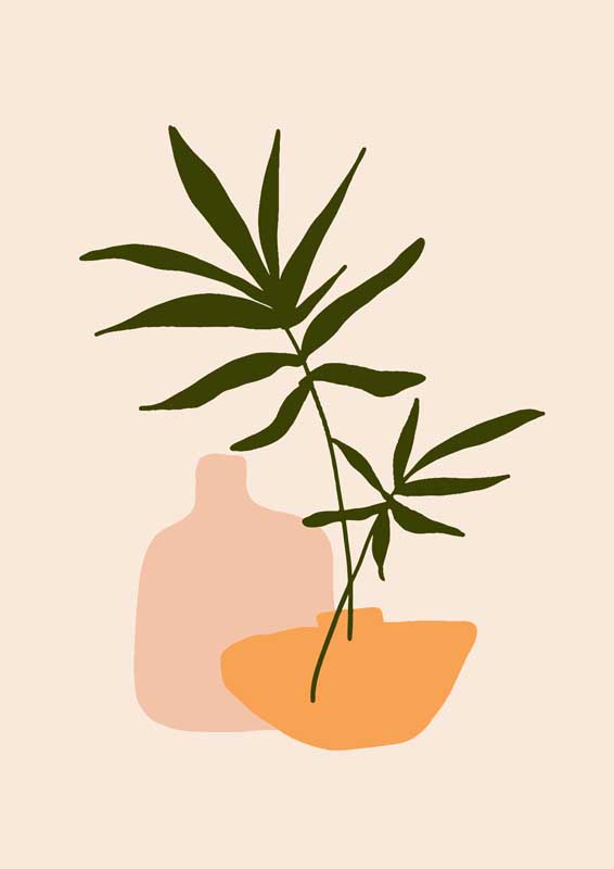 jpnese18护土虎虎虎